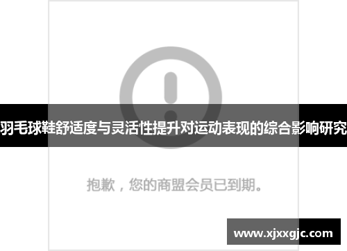 羽毛球鞋舒适度与灵活性提升对运动表现的综合影响研究