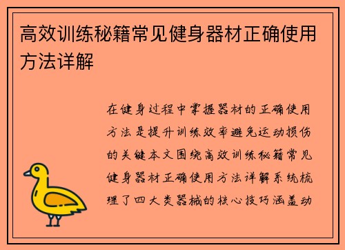 高效训练秘籍常见健身器材正确使用方法详解