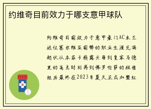 约维奇目前效力于哪支意甲球队